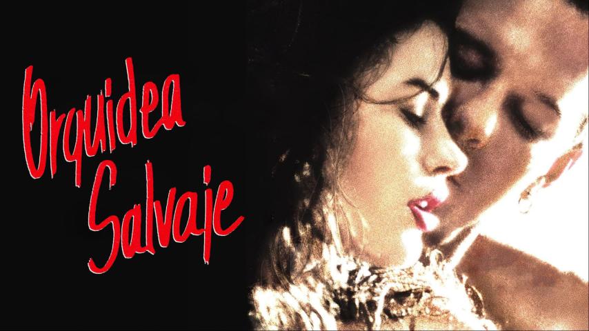 فيلم Wild Orchid 1989 مترجم