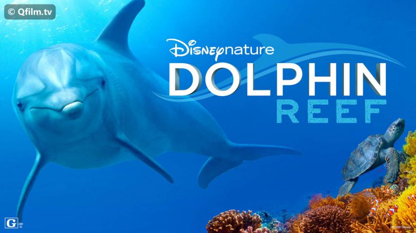 فيلم Dolphin Reef 2020 مترجم