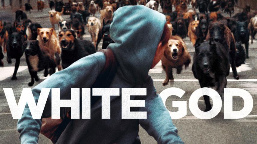 فيلم White God 2014 مترجم