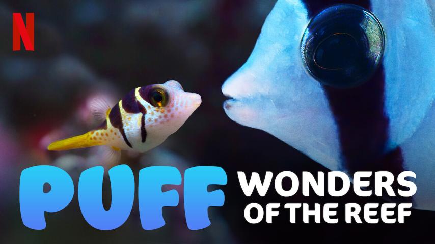 فيلم Puff: Wonders of the Reef 2021 مترجم