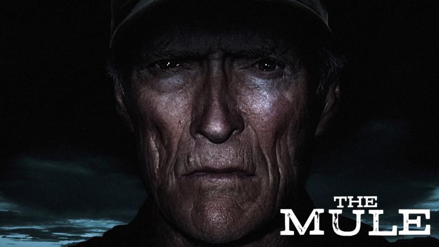 فيلم The Mule 2018 مترجم