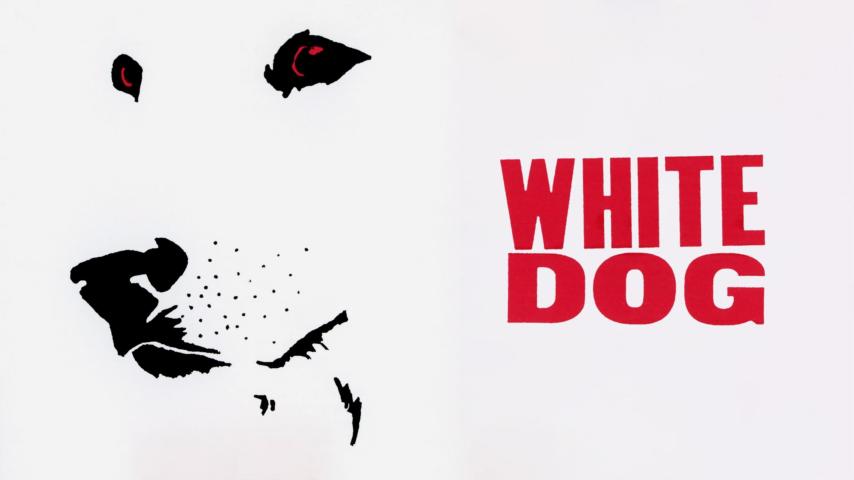 فيلم White Dog 1982 مترجم