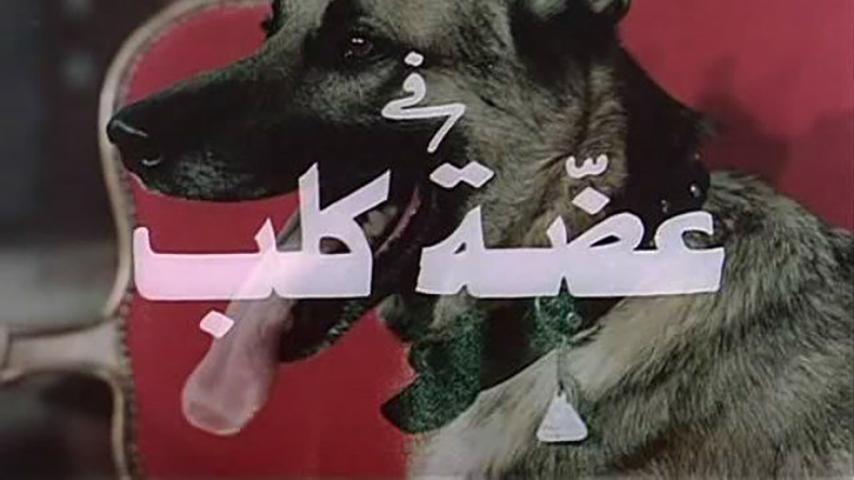 فيلم عضة كلب (1983)
